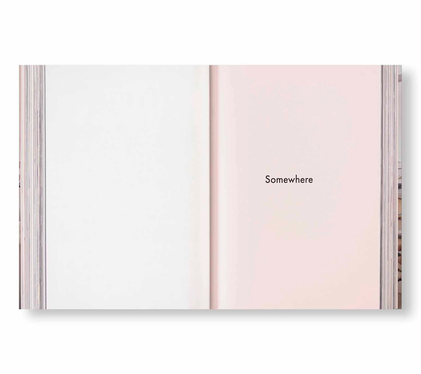 ARCHIVE by Sofia Coppola