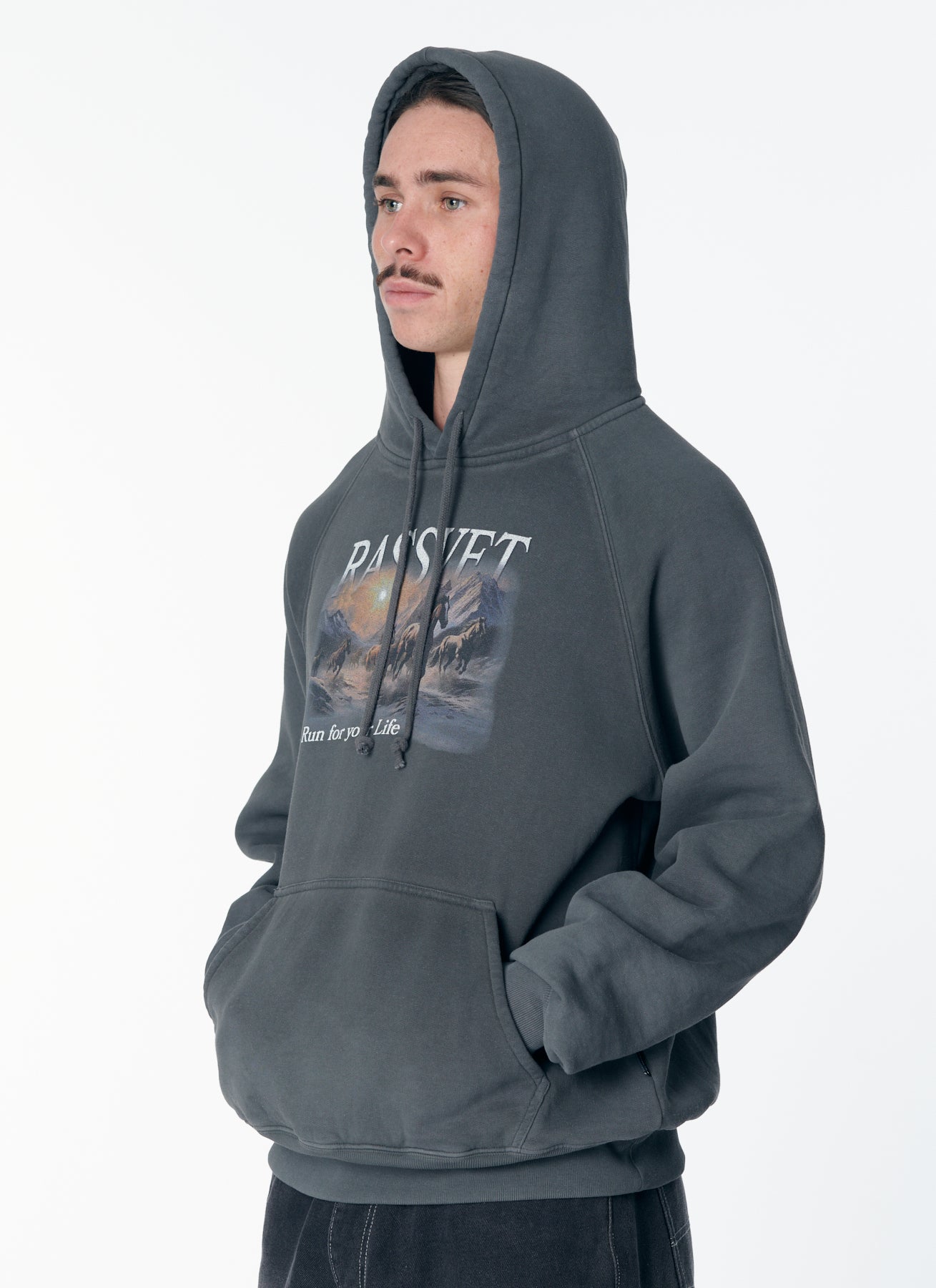 HORSES RAGLAN HOODIE