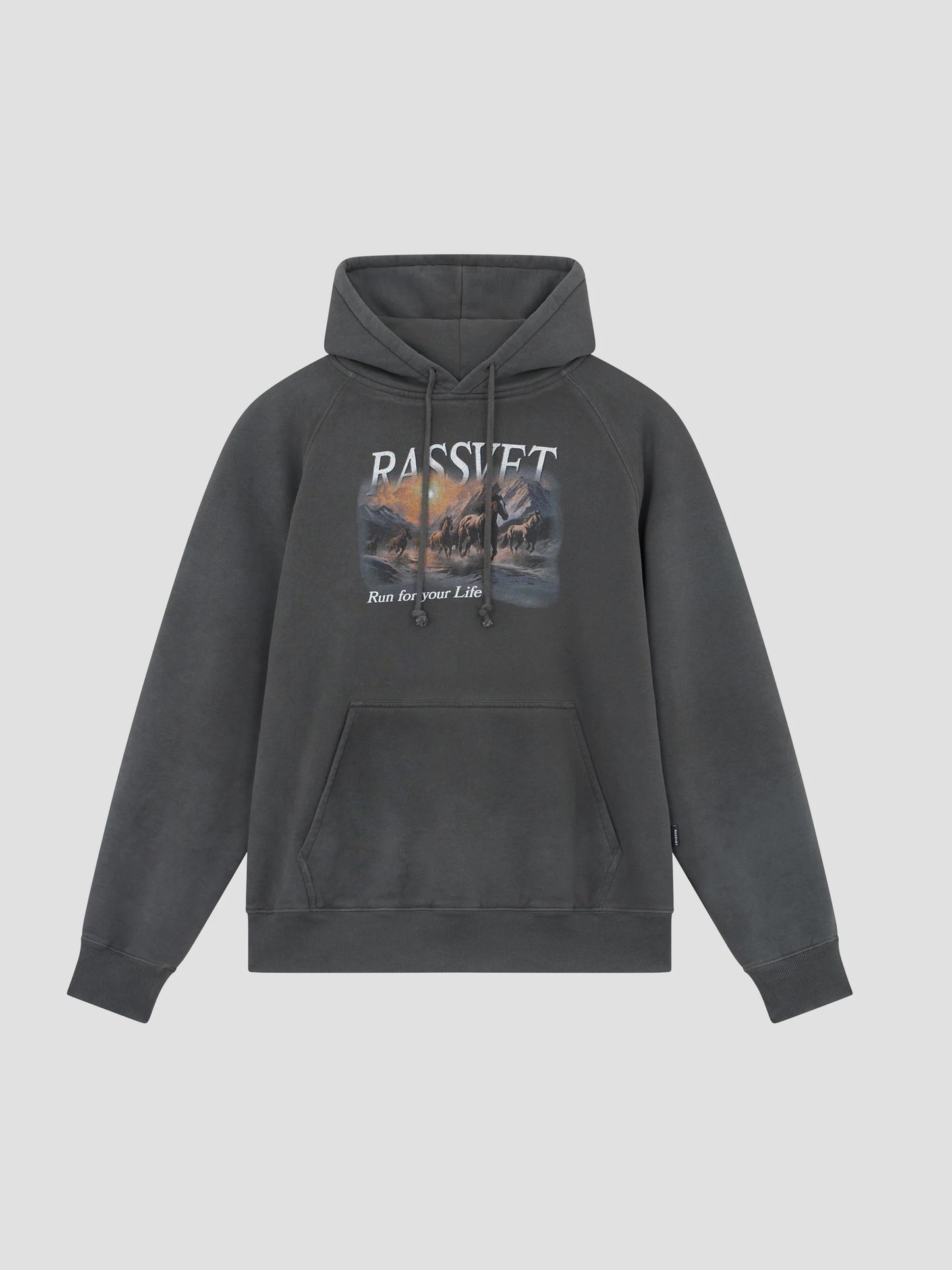 HORSES RAGLAN HOODIE
