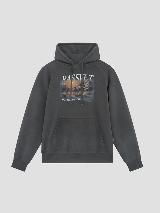 HORSES RAGLAN HOODIE