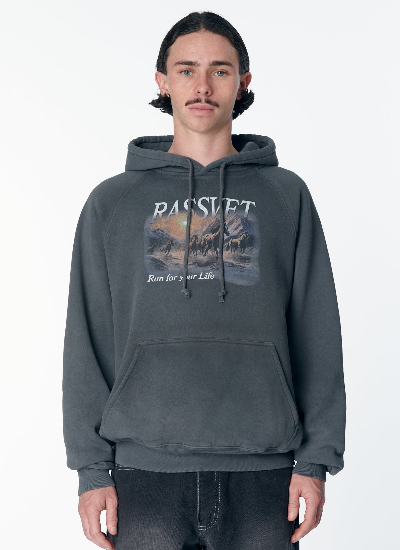 HORSES RAGLAN HOODIE